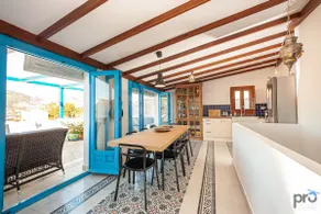 The Blue House - Image 5