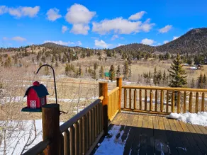Stunning 2 Bedroom 1.5 Bath Cabin on 3.5 Acres - Image 4