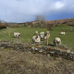 The WEE HOUS Cresslough - Image 5