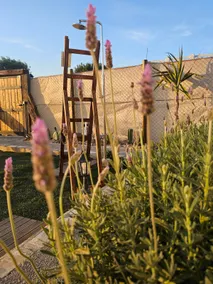 El Tunar · Peaceful Getaway in El Palmar - Image 1