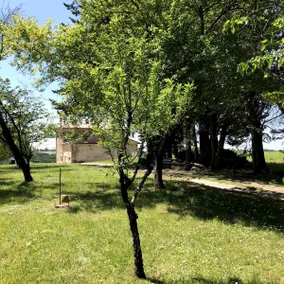 Josette's Home - Image 2