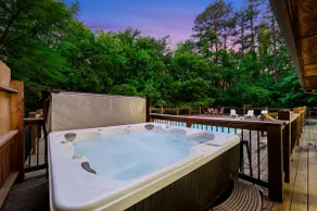 Wild Oasis: Pool, Gameroom, Theatre, Hot Tub - Image 2