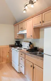 Cozy Cabin Stay_Pet Friendly_Cabin 3 - Image 5