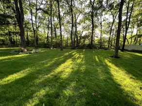 Wooded Retreat: Upgraded 3B Home - Image 2