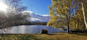 9 to 15 pers. The big lake house - Pyrenees - Image 4