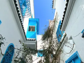 Authentic experience Sidi Bou 10 min to the beach - Image 3