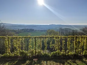 Vacation home in Monferrato - Image 2