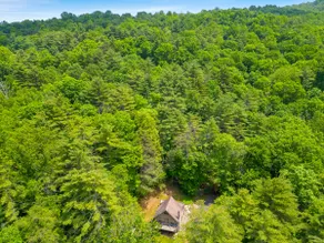Nature's Embrance with HotTub, Firepit, Near SNP - Image 5