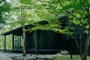 Modernist architecture in the forest of Gaodai. Open-air bath, sauna, cypress bath, ENN - Image 3