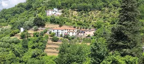 Casa Nonna Maria - Val Fontanabuona - Image 3
