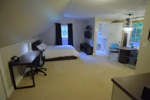 Backwoods Studio: 11.6ac Forest - Image 3