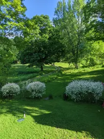 1 bedroom apartment with view - Image 5