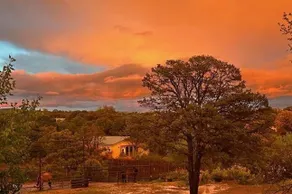 Humming Grove Studios East /West - Image 2