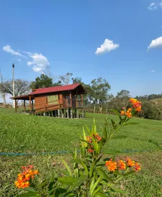 Sítio Brisa da Serra – Comfort and Tranquility - Image 3