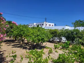 Skyros House - Image 4