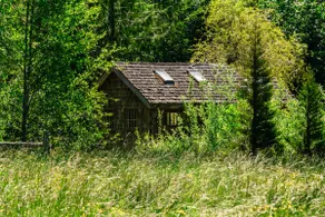 Cedar Cabin at Quilcene Lantern - Image 5