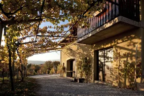 Vineyard Cottage Brodaric - Image 5