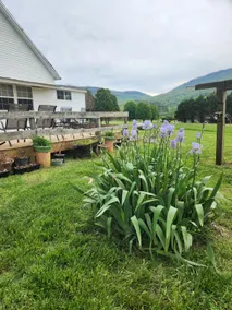 Mommas Farmhouse - Image 2