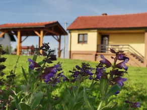 House Pavlek-peaceful shelter in a spring sun - Image 5