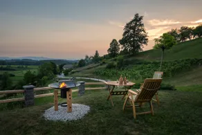 Vineyard Cottage Krivic - Image 3