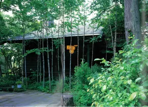 The No10 Forest Haven Villa - Image 3