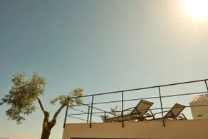 Jatu - Image 4