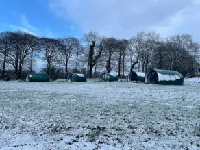 Thornfield Farm Luxury Glamping Pods, The Dark Hedges, Ballycastle - Image 4