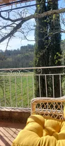 Beautiful apartment in a wine-growing area - Image 3