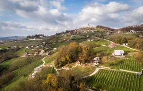 Vineyard Cottage Rataj 1 - Image 3