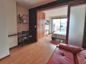 Loft, close to the Rosa neighborhood, clinics, carnival museum - Image 2