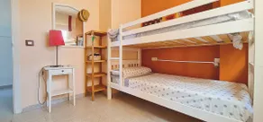 Stella Maris 7 - Image 3