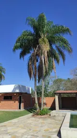 Country house in Nueva Colombia. - Image 2