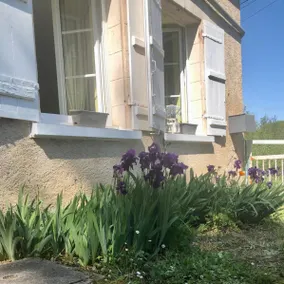 The Iris House - Image 4