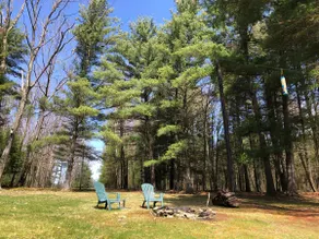 Cottage in the woods - Image 3