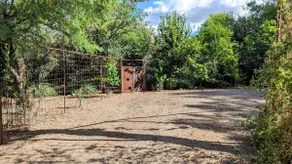 A house Blooming in the Desert - Image 3