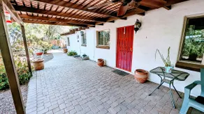 A house Blooming in the Desert - Image 2