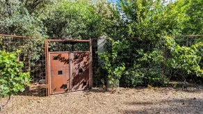 A house Blooming in the Desert - Image 4