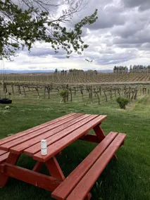 Vineyard and winery guest house - Image 4