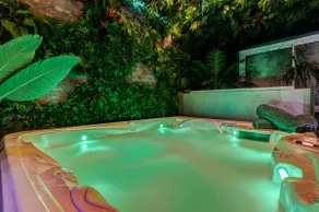 Jungle Love Room with indoor jacuzzi and sauna - Image 3