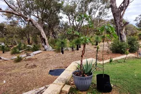 Captivating Bush Beach Retreat - Image 2