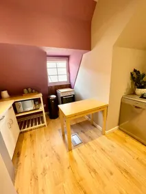 Apartment with Sauna* – Europa Park - Image 3