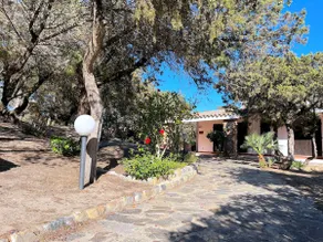Villa Ibiscus, Notteri - Image 5