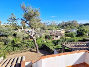 Villa Ibiscus, Notteri - Image 3