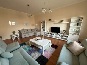 Central Nest - Image 4