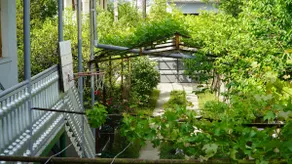 Guest House TA-GI Cozy Place - Image 5