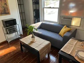 Sunny Entire Apartment . - Image 3