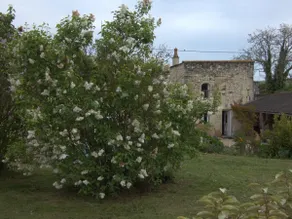 Gîte Val de Loire L'instant famille - Image 2