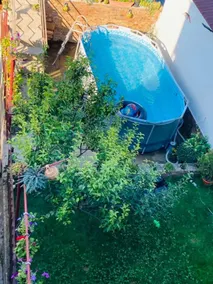 Casa Raul - Image 2