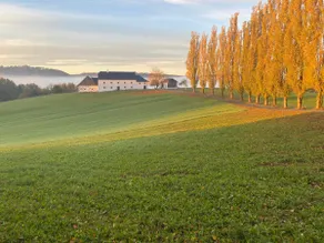 Obstgartl - Vacation home in the Mühlviertel hills - Image 3