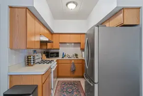 FREE(1) parking 3beds Condo in Chicago Chinatown! - Image 4